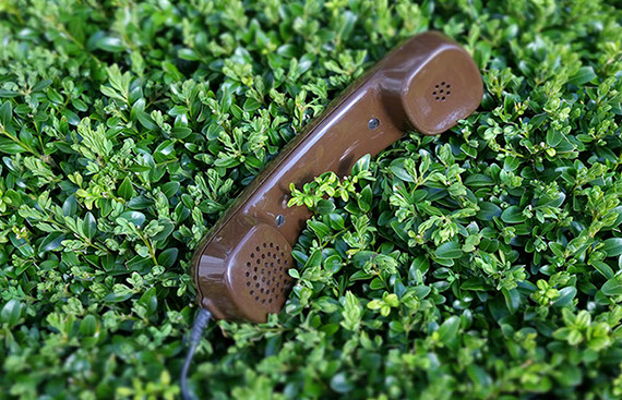 Kontakt Gartenbau Vogel