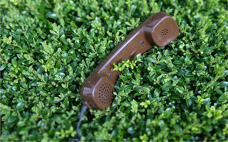 Kontakt Gartenbau Vogel