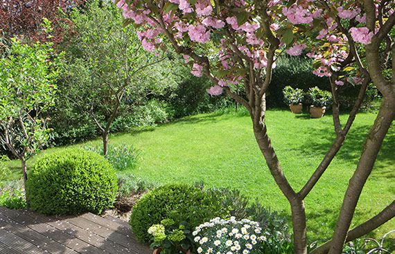 Garten von Gartenbau Vogel