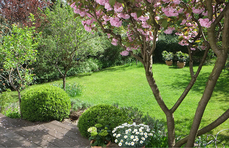 Garten von Gartenbau Vogel