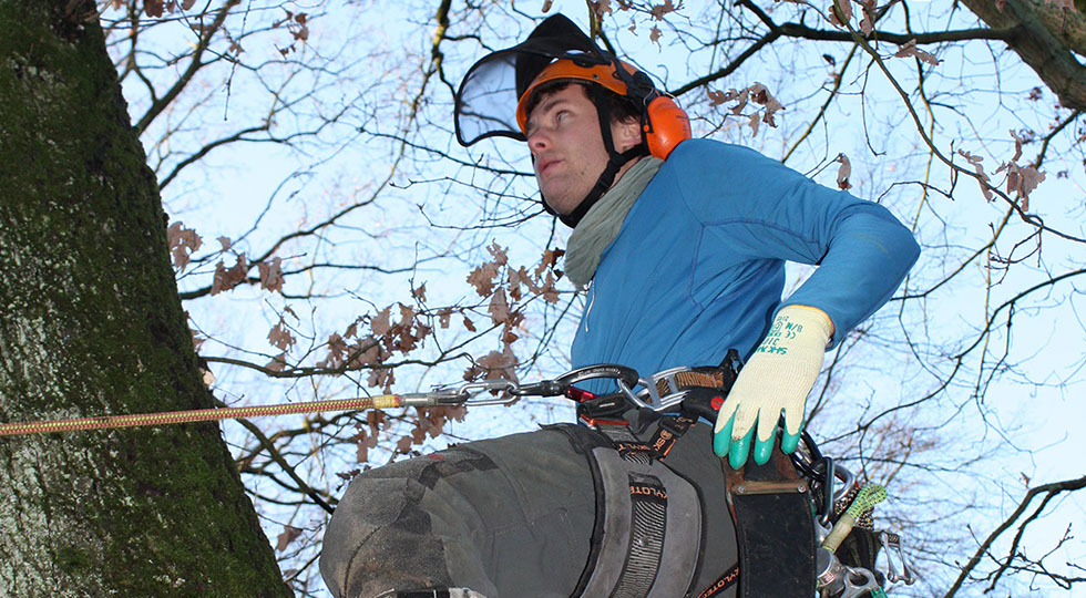 Klettertechnik Gartenbau Vogel