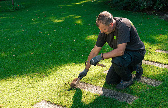 Rabattenpflege Gartenbau Vogel