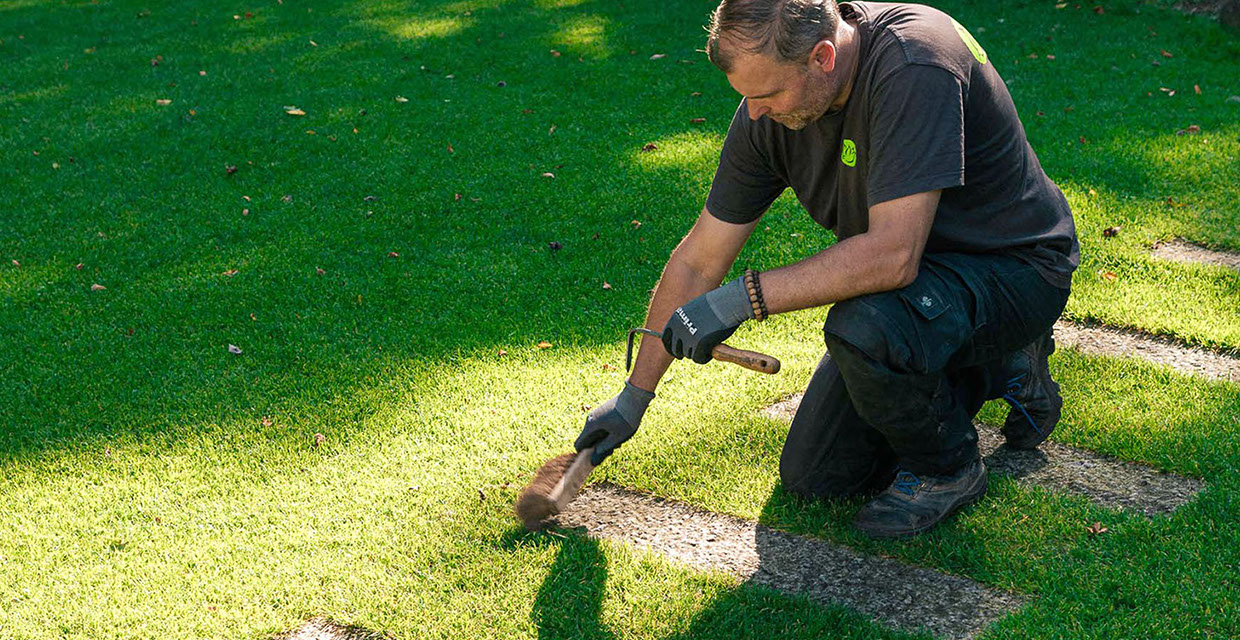 Rabattenpflege Gartenbau Vogel