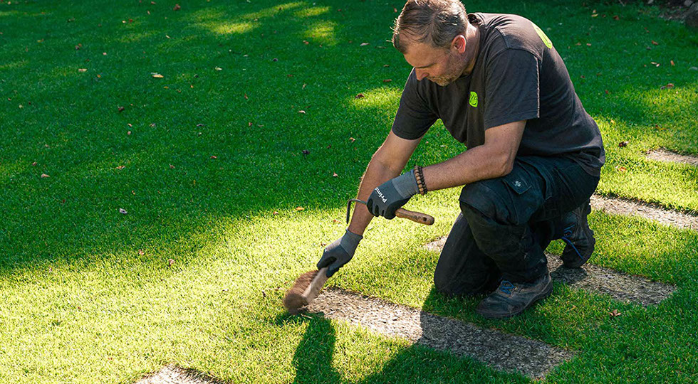Rabattenpflege Gartenbau Vogel