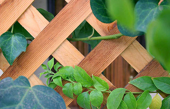 Sichtschutz bauen Gartenbau Vogel