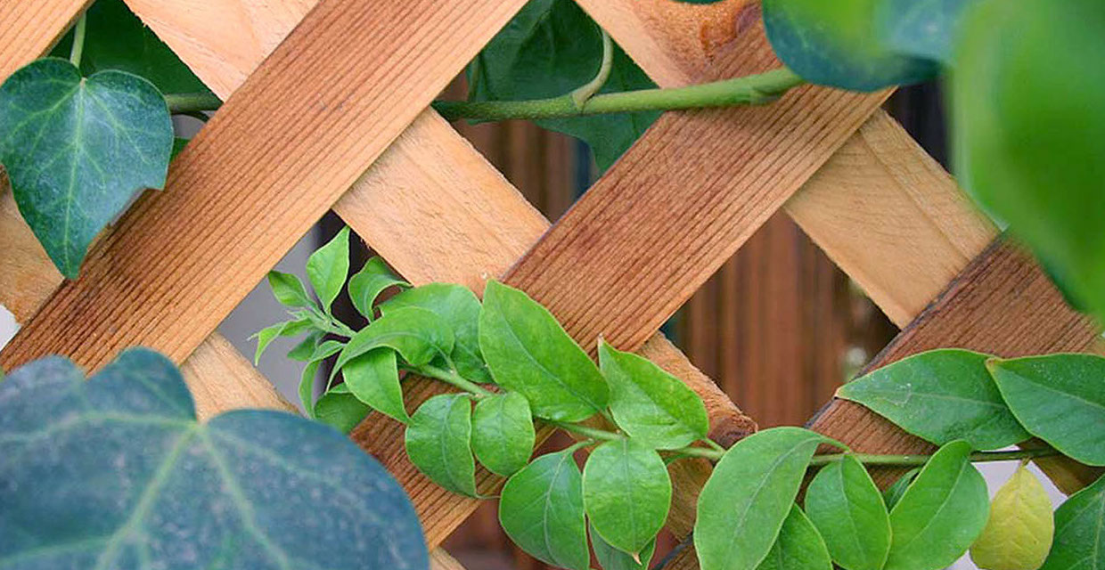 Sichtschutz bauen Gartenbau Vogel Sichtschutz bauen Gartenbau Vogel