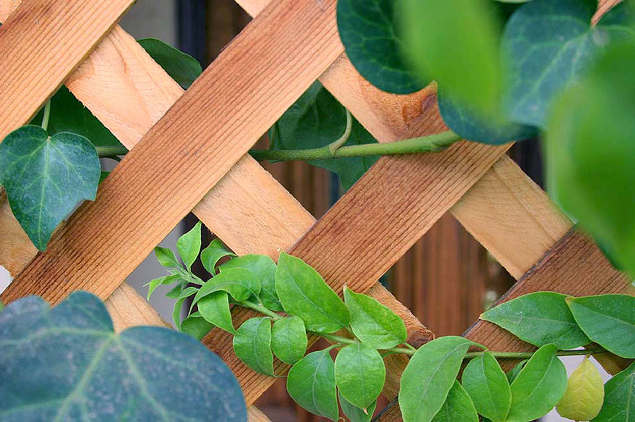 Sichtschutz bauen Gartenbau Vogel